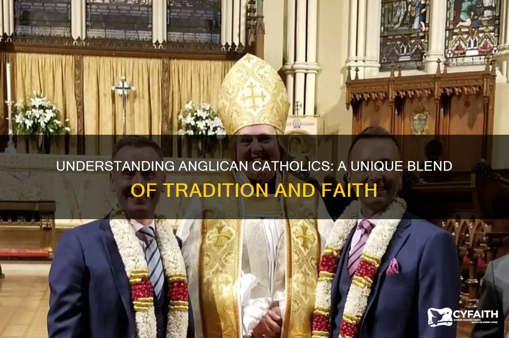 what is anglican catholics