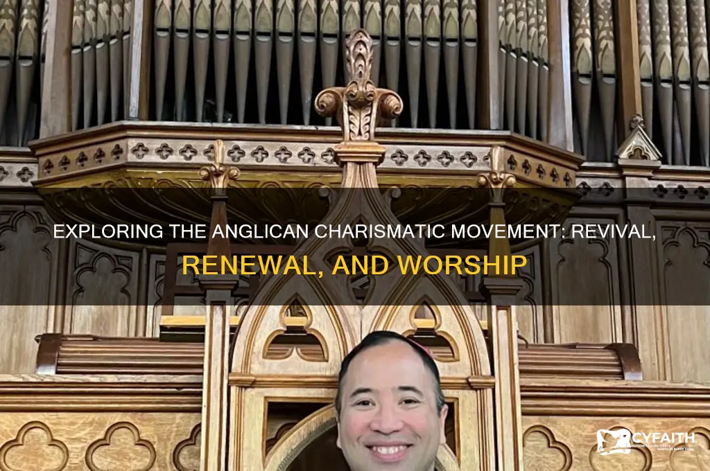 what is anglican charismatic movement