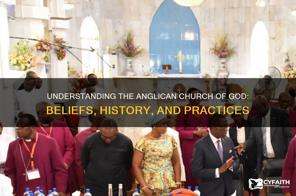 what is anglican church of god