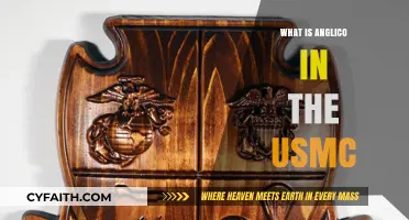 Understanding Anglico: The USMC's Specialized Communication Unit Explained