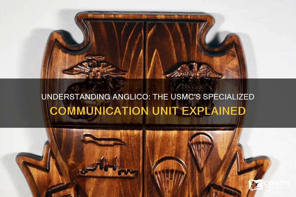 what is anglico in the usmc