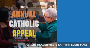 Understanding the Annual Catholic Appeal: Purpose, Impact, and Faith in Action
