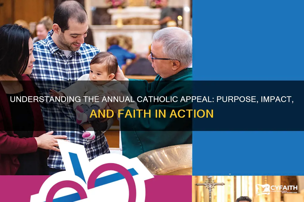what is annual catholic appeal