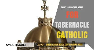 Understanding the Catholic Tabernacle: Alternative Names and Their Meanings
