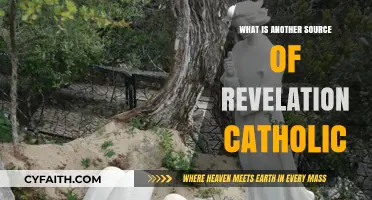 Exploring Catholic Revelation Beyond Scripture: Alternative Sources Unveiled