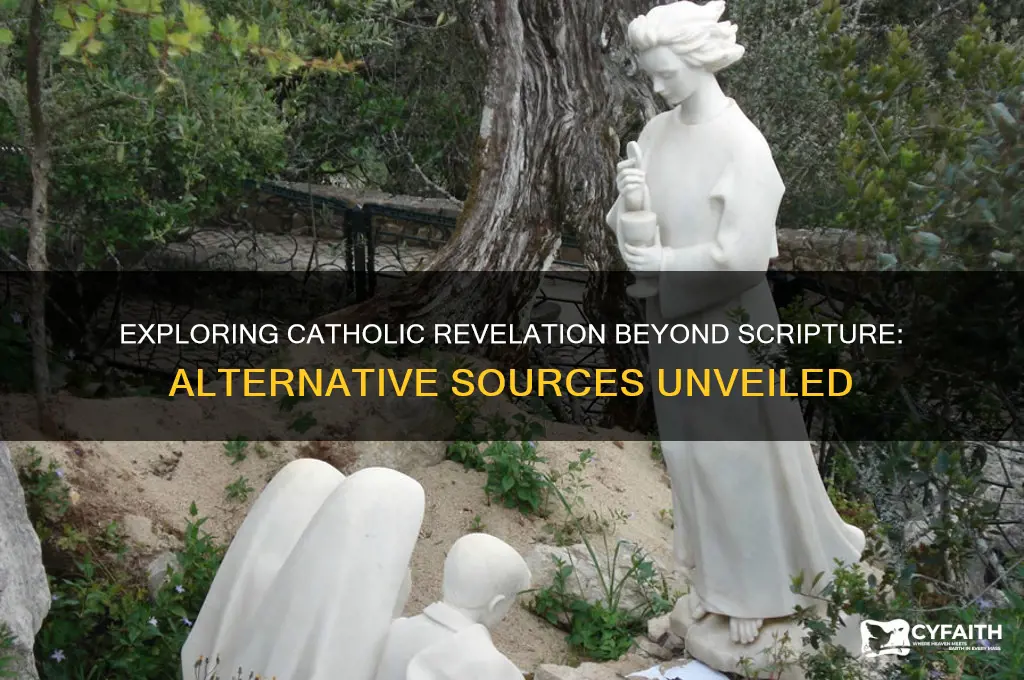 what is another source of revelation catholic