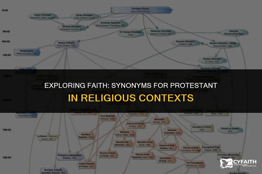 what is another word for protestant
