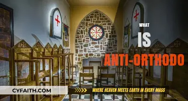 Understanding Anti-Orthodox: Challenging Traditional Beliefs and Practices in Society