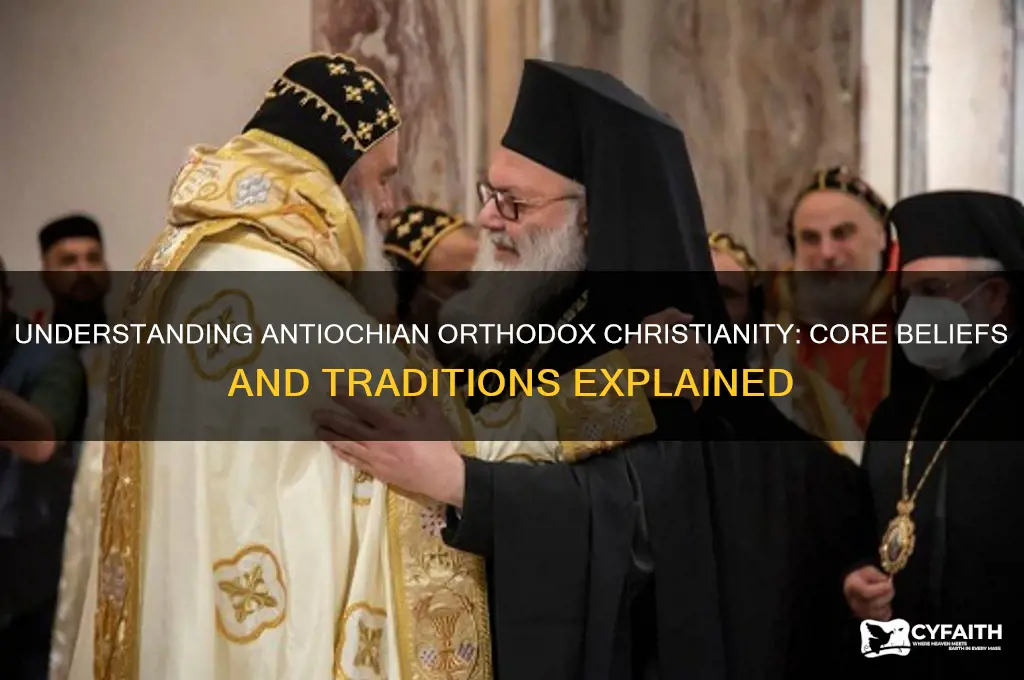 what is antiochian orthodox christian beliefs