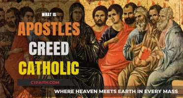 Understanding the Apostles' Creed: A Catholic Perspective and Significance