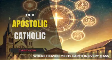 Understanding the Apostolic Catholic Faith: Beliefs, Practices, and Traditions