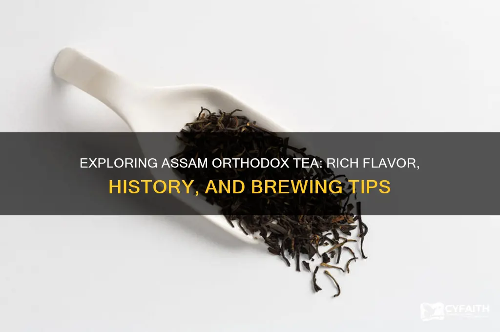 what is assam orthodox tea