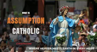Understanding Assumption Catholic: Beliefs, Traditions, and Significance Explained