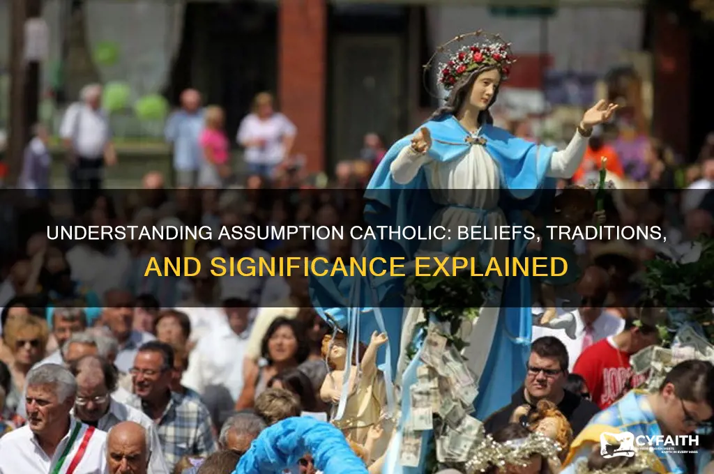 what is assumption catholic