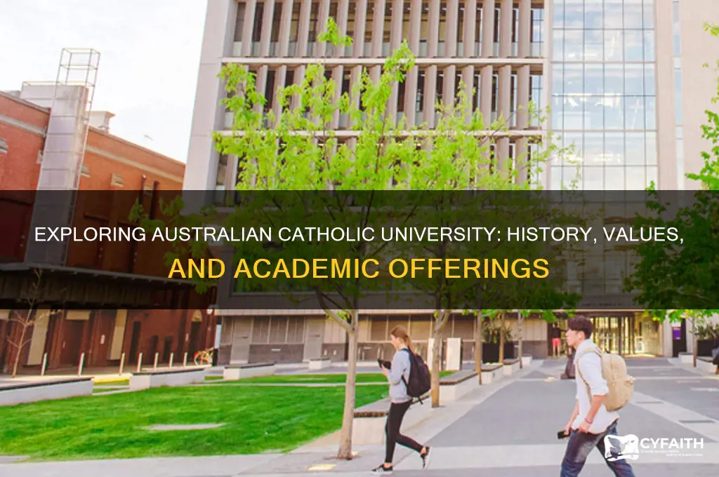 what is australian catholic university
