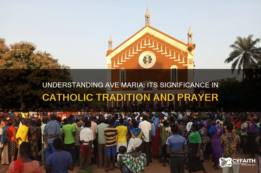 what is ave to a catholic