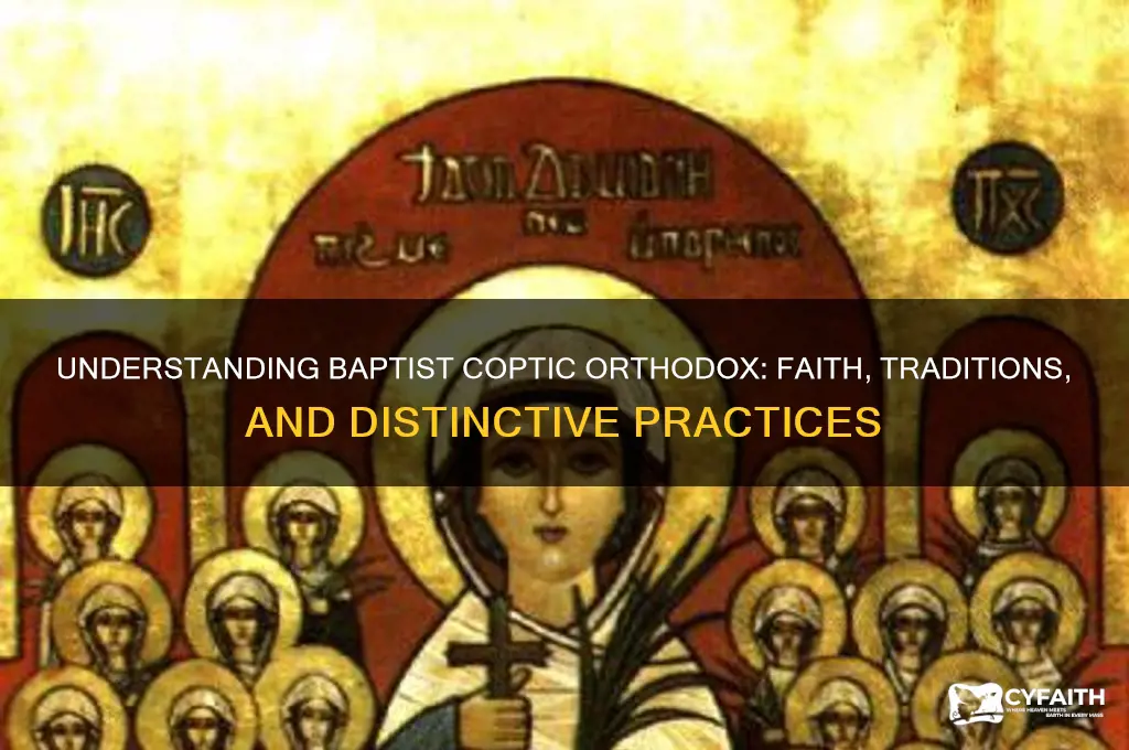 what is baptist coptic orthodox