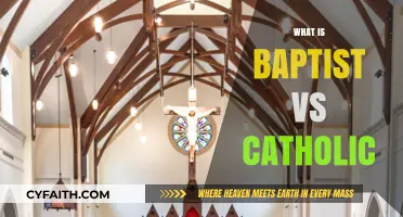 Baptist vs Catholic: Key Beliefs, Practices, and Differences Explained