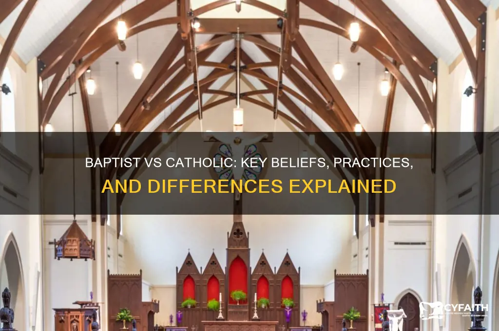 what is baptist vs catholic