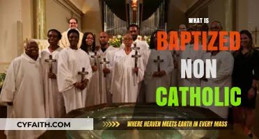 Understanding Baptized Non-Catholic: Faith, Practices, and Beliefs Explained