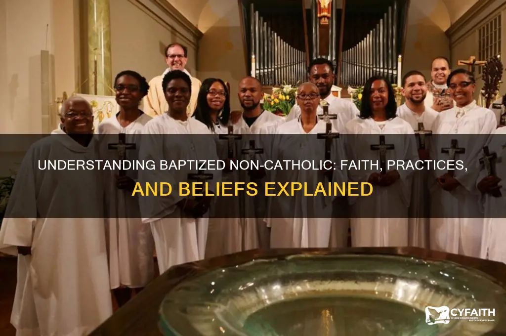 what is baptized non catholic