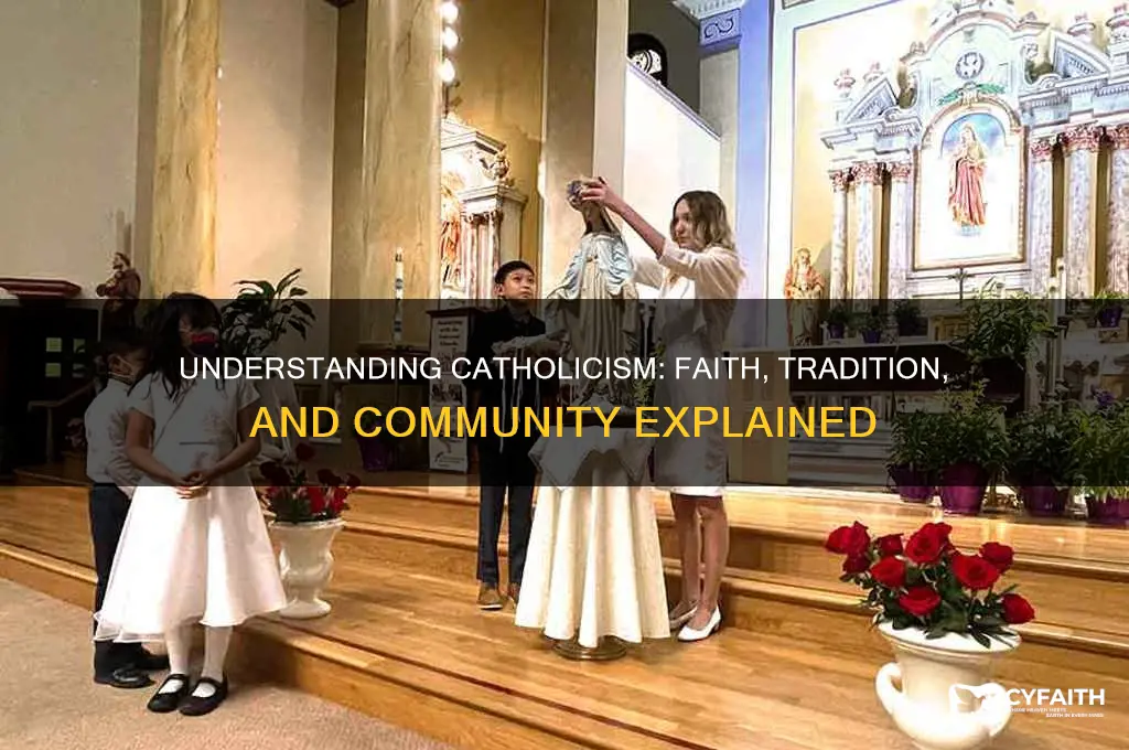 what is being a catholic all about