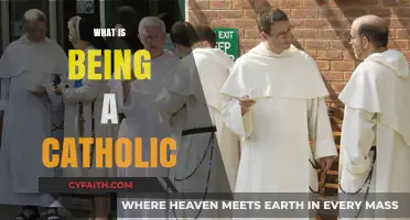 Understanding Catholicism: Faith, Tradition, and Community in Catholic Life