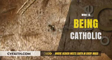 Understanding Catholicism: Faith, Tradition, and Community Explained