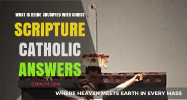 Crucified with Christ: Catholic Scripture Insights on Dying to Self