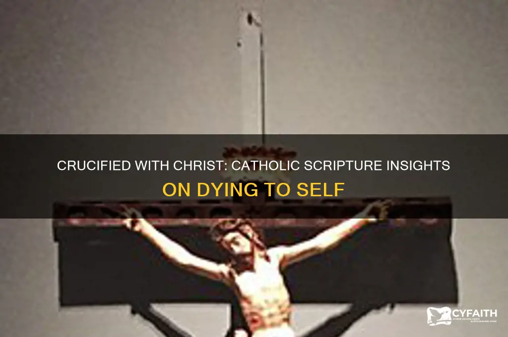 what is being crucified with christ scripture catholic answers