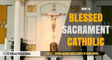Understanding the Blessed Sacrament in Catholic Tradition and Worship