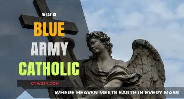 Understanding the Blue Army: A Catholic Devotional Movement Explained