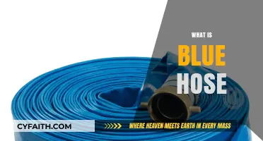 Unveiling the Mystery: Understanding the Purpose of Blue Hose