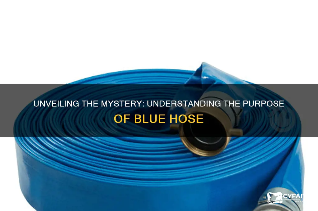 what is blue hose