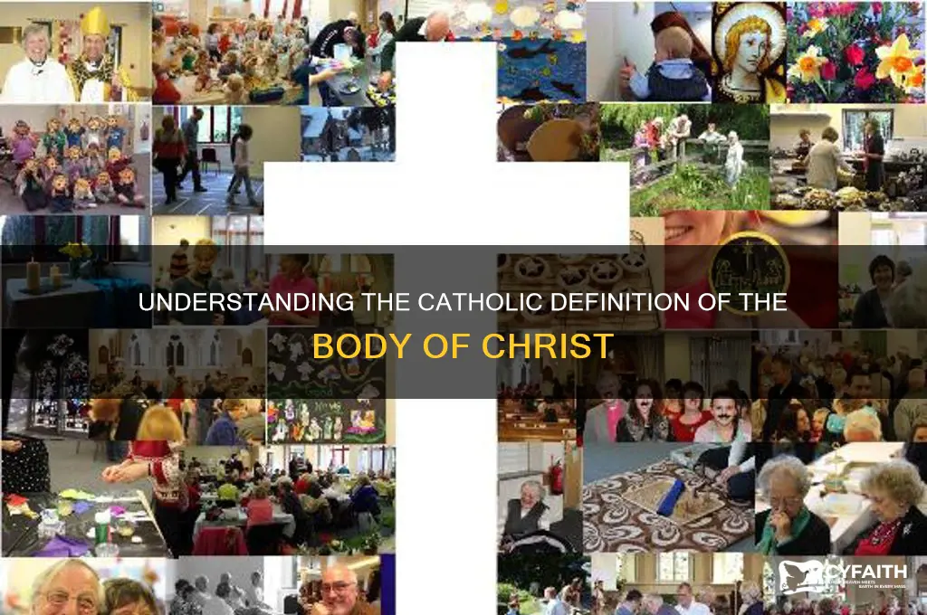 what is body of christ catholic definition