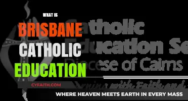 Exploring Brisbane Catholic Education: Values, Curriculum, and Community Impact