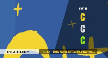 Understanding the Basics: What is C, C++, and C#?