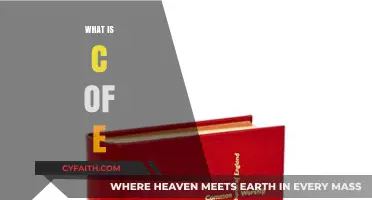 Understanding the Church of England: History, Beliefs, and Modern Role