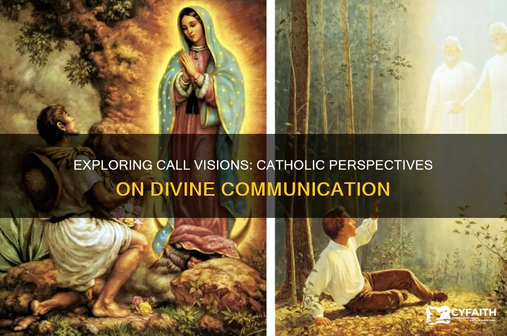 what is call visions catholic views