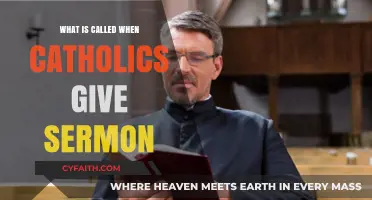 Understanding the Catholic Homily: When Priests Deliver Sermons
