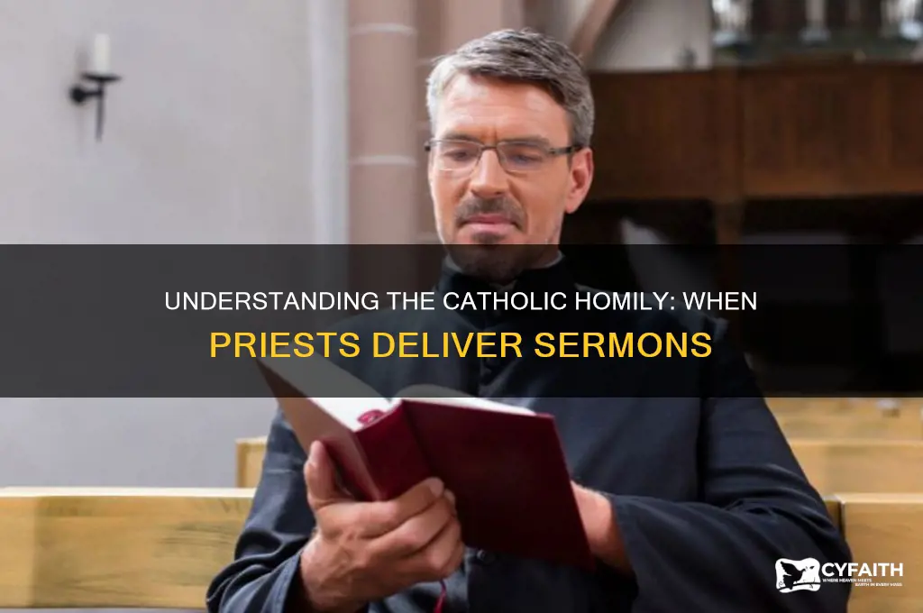 what is called when catholics give sermon