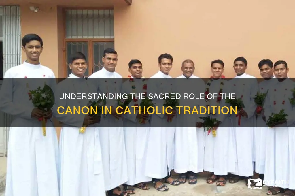 what is cannon to catholics