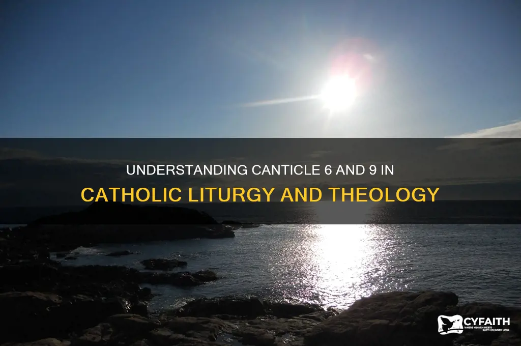 what is cant 6 9 in catholic theology