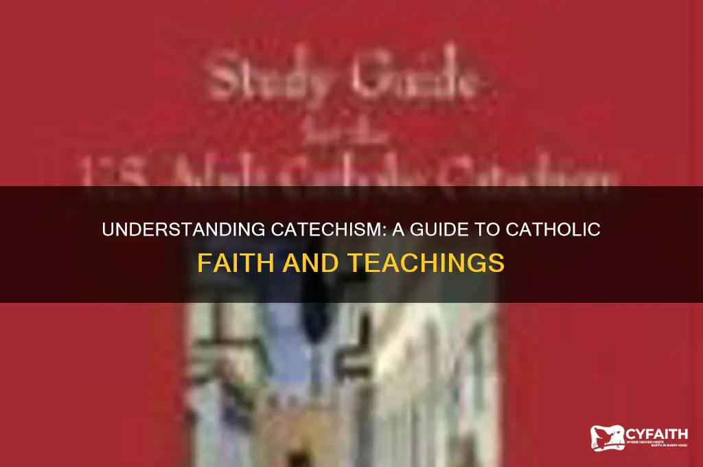 what is catechism catholic