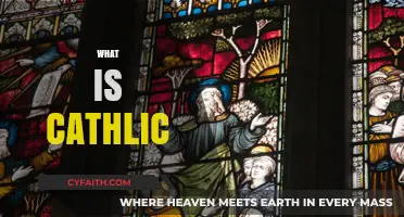 Understanding Catholicism: Beliefs, Practices, and the Catholic Faith Explained