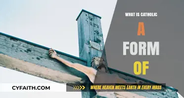 Understanding Catholicism: Exploring Its Nature, Beliefs, and Role in Christianity