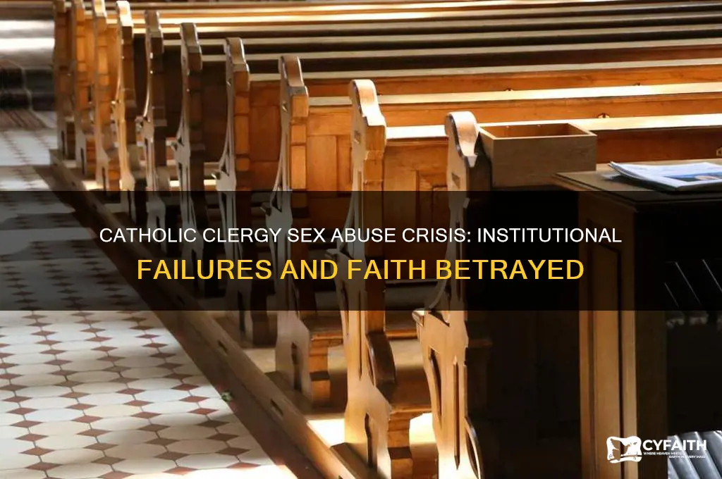what is catholic about the clergy sex abuse crisis