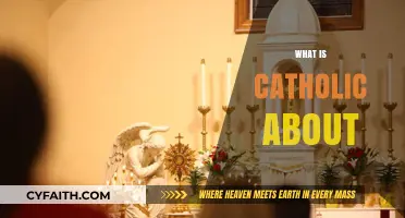 Exploring the Core Beliefs and Traditions of Catholic Faith and Practice