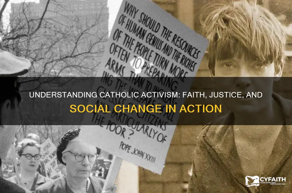 what is catholic activism