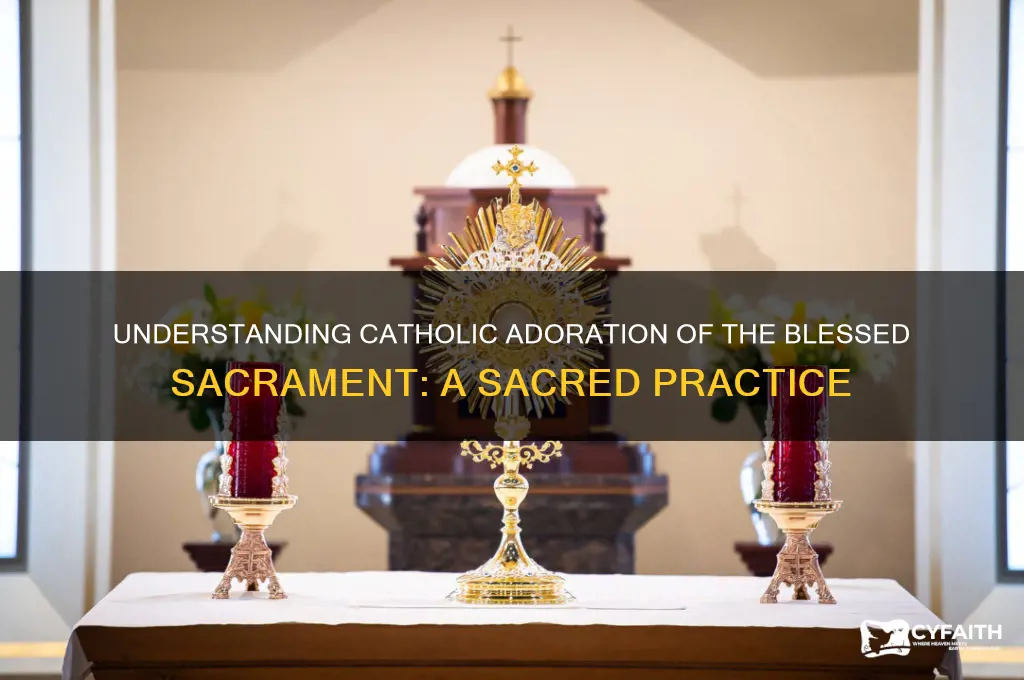 what is catholic adoration of the blessed sacrament